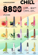 【 Q倉 】CHILL始祖鳥一次性8800口