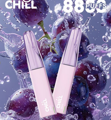 【 Q倉 】CHILL始祖鳥一次性8800口