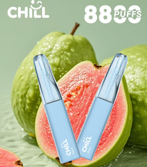 【 Q倉 】CHILL始祖鳥一次性8800口