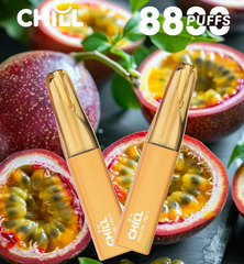 【 Q倉 】CHILL始祖鳥一次性8800口